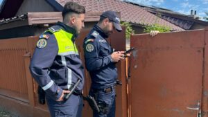 Amendă de 5.000 de lei pentru un bărbat din Ilfov care a refuzat să sterilizeze câinii din curte